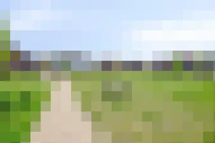 Dorresbus 5 Nuenen thumbnail 34