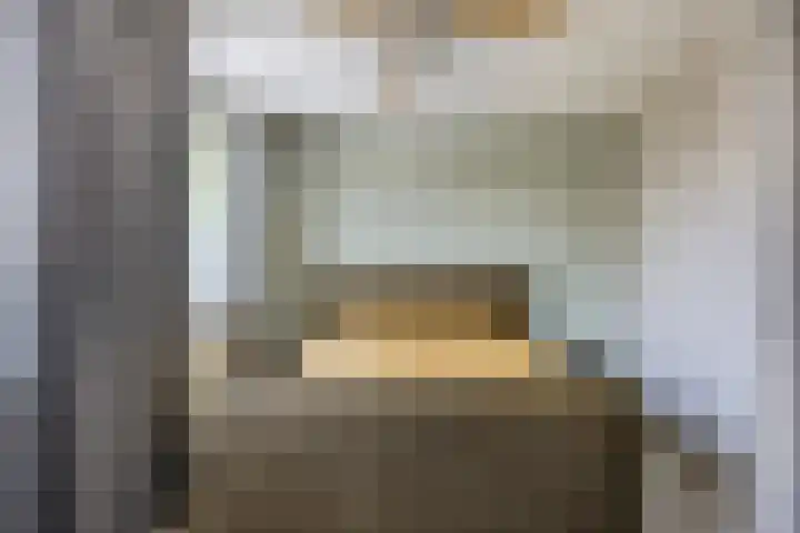 Dorresbus 5 Nuenen thumbnail 4