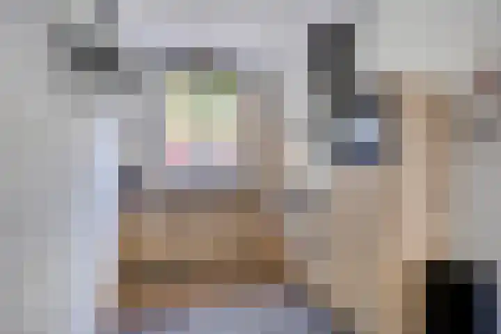Dorresbus 5 Nuenen thumbnail 5