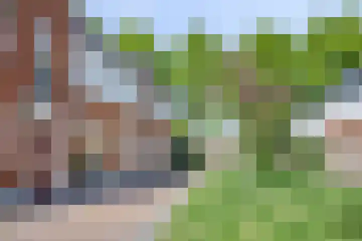 Dorresbus 5 Nuenen thumbnail 7