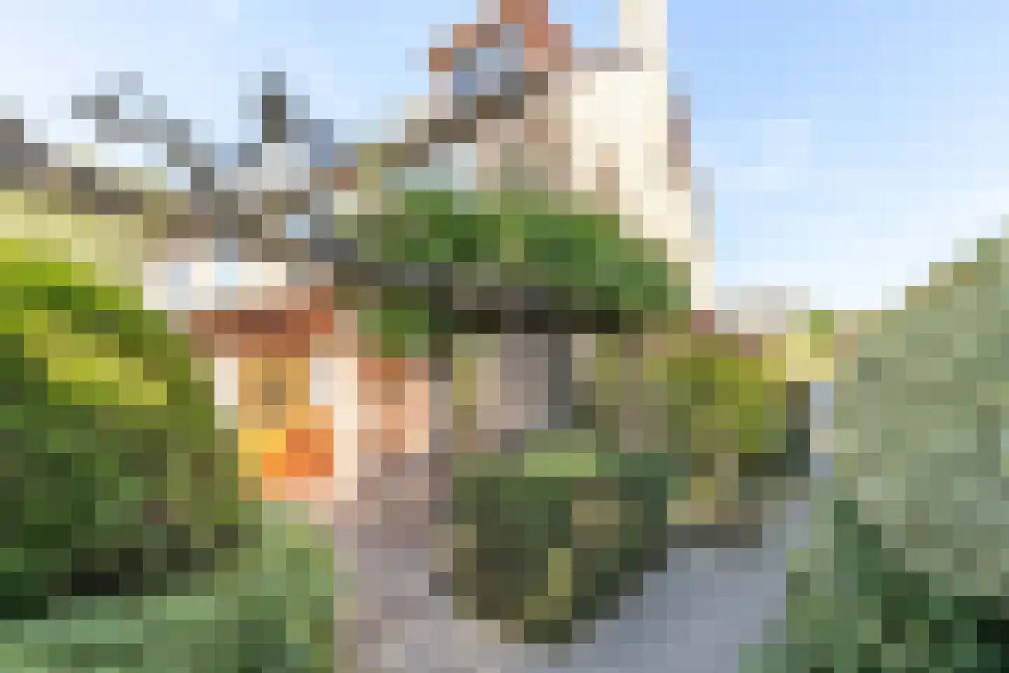Dorresteinseweg 32 Amersfoort thumbnail 17