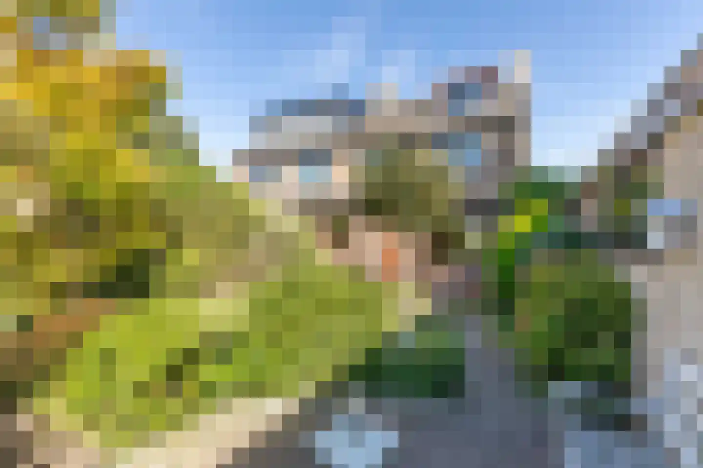 Dorresteinseweg 32 Amersfoort thumbnail 19