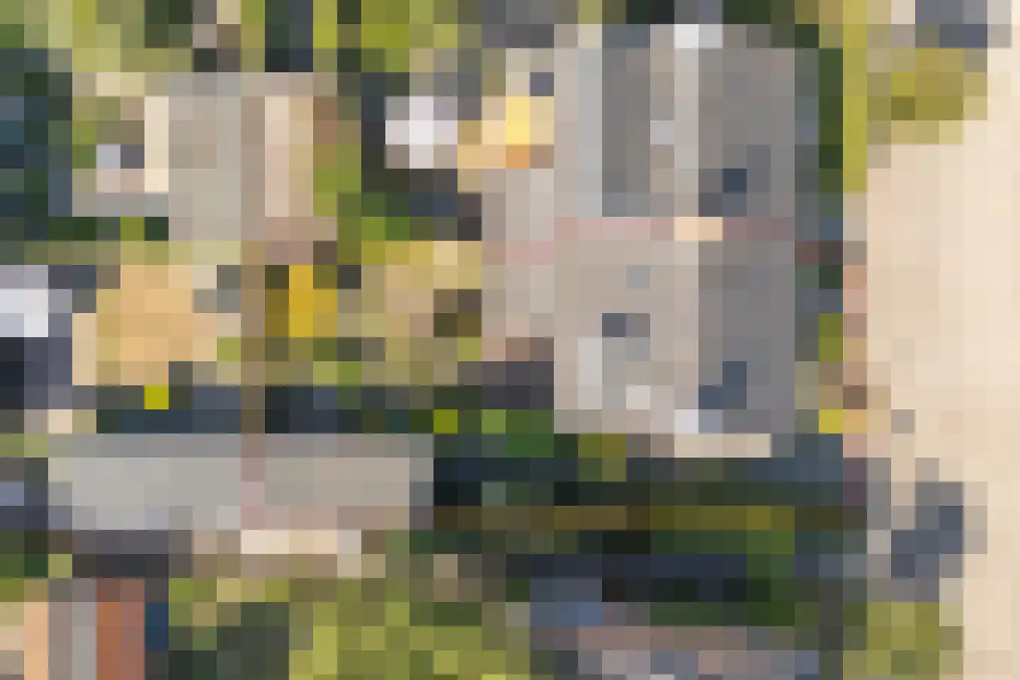 Dorresteinseweg 32 Amersfoort thumbnail 33