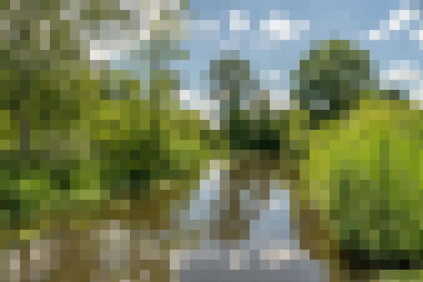 Dorresteinseweg 32 Amersfoort thumbnail 37