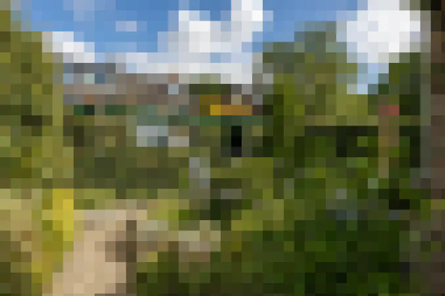Dorresteinseweg 36 Amersfoort thumbnail 28