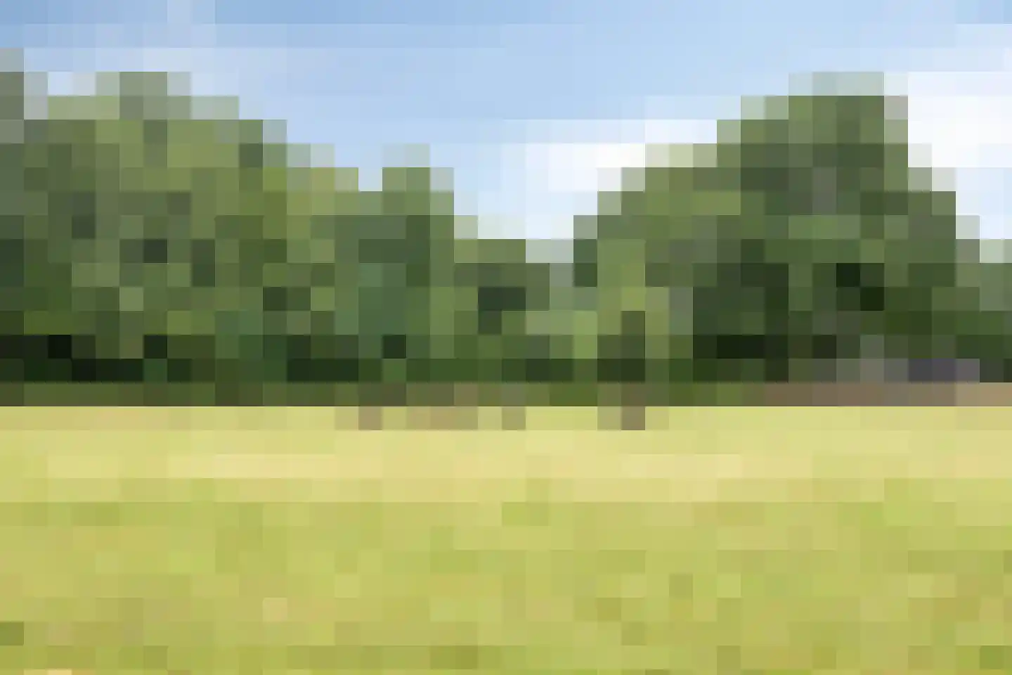 Dorresteinseweg 64 Amersfoort thumbnail 38