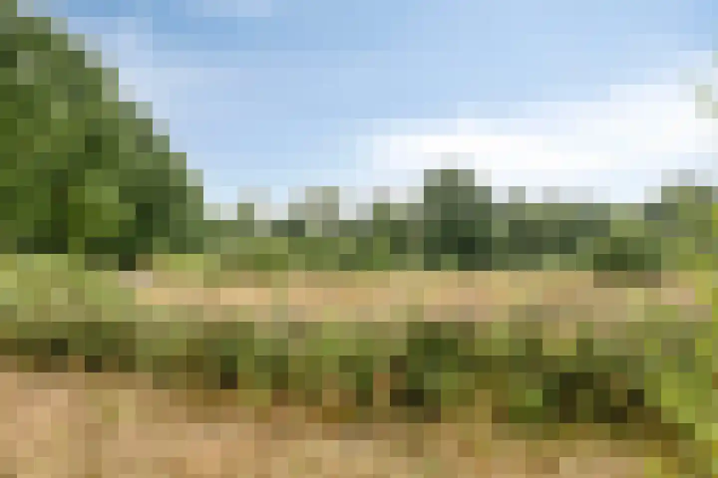 Dorresteinseweg 64 Amersfoort thumbnail 39