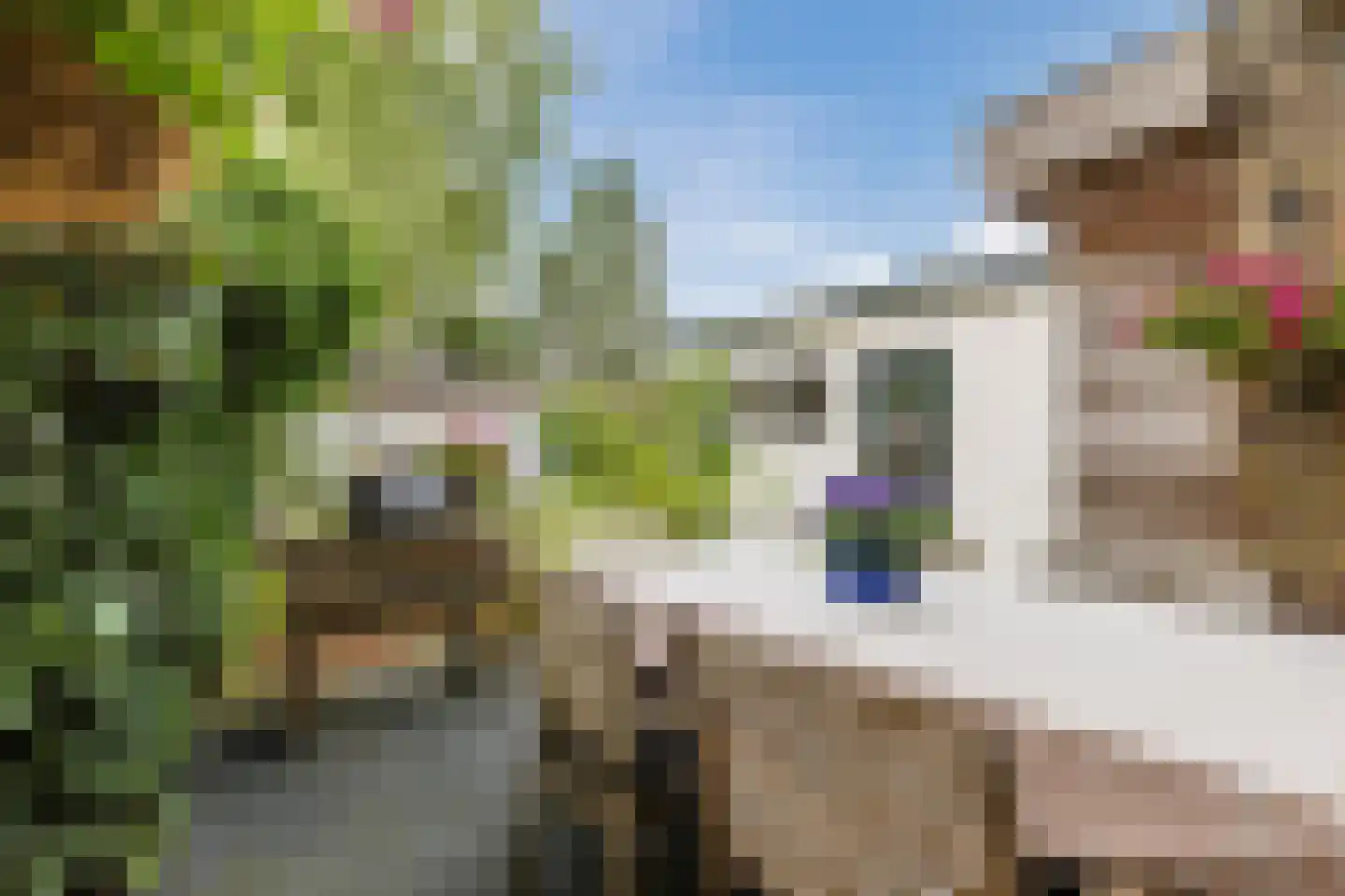 Dorresteinweg 30 Soest thumbnail 38
