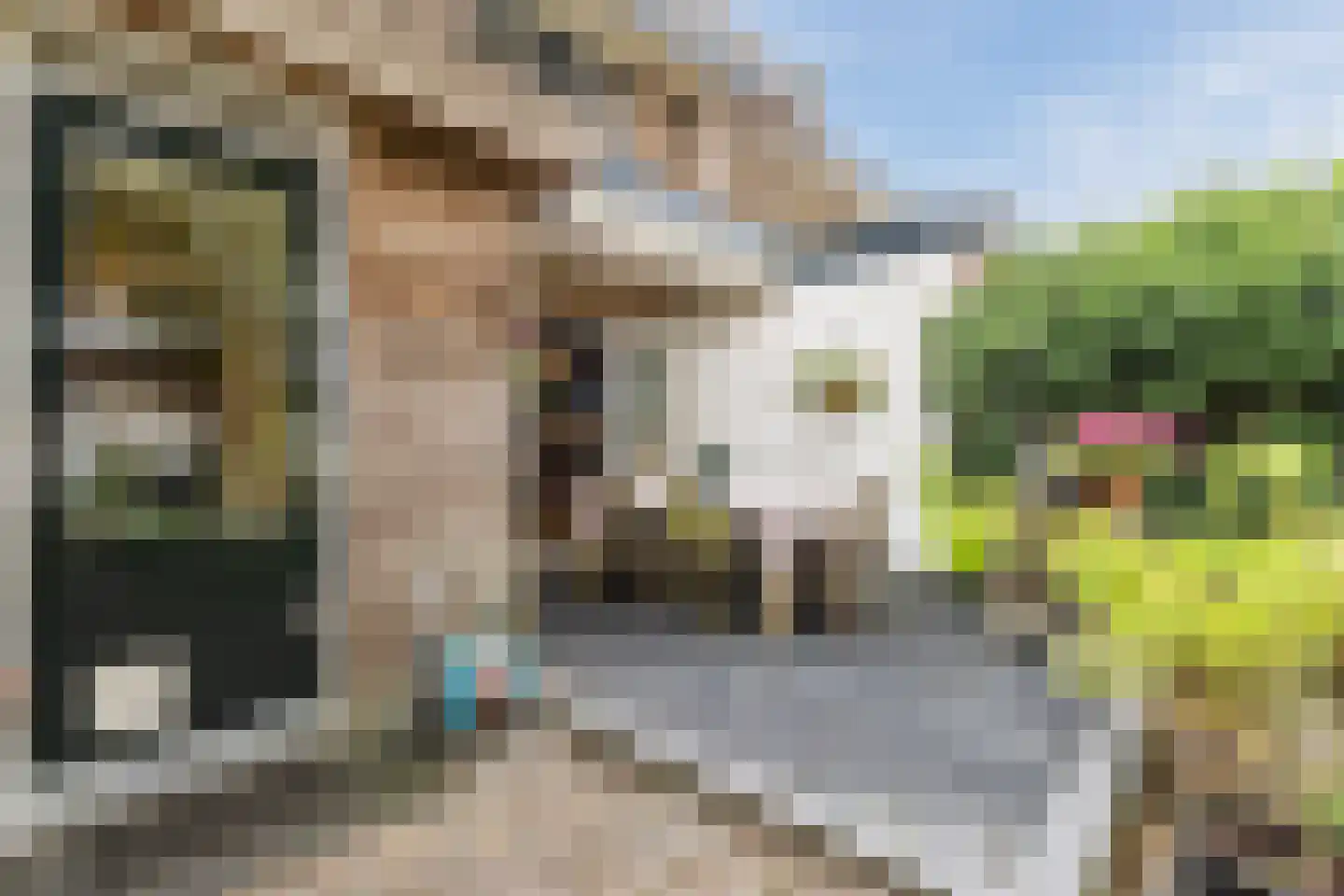 Dorresteinweg 30 Soest thumbnail 39