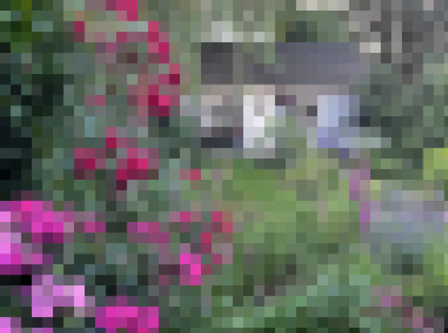 Dorresteinweg 30 Soest thumbnail 43