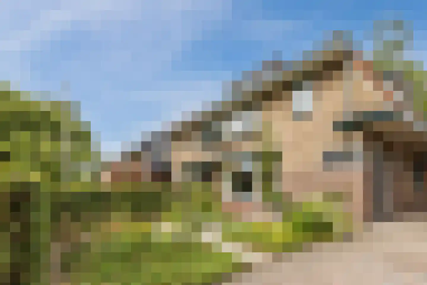 Dorresteinweg 30 Soest thumbnail 54