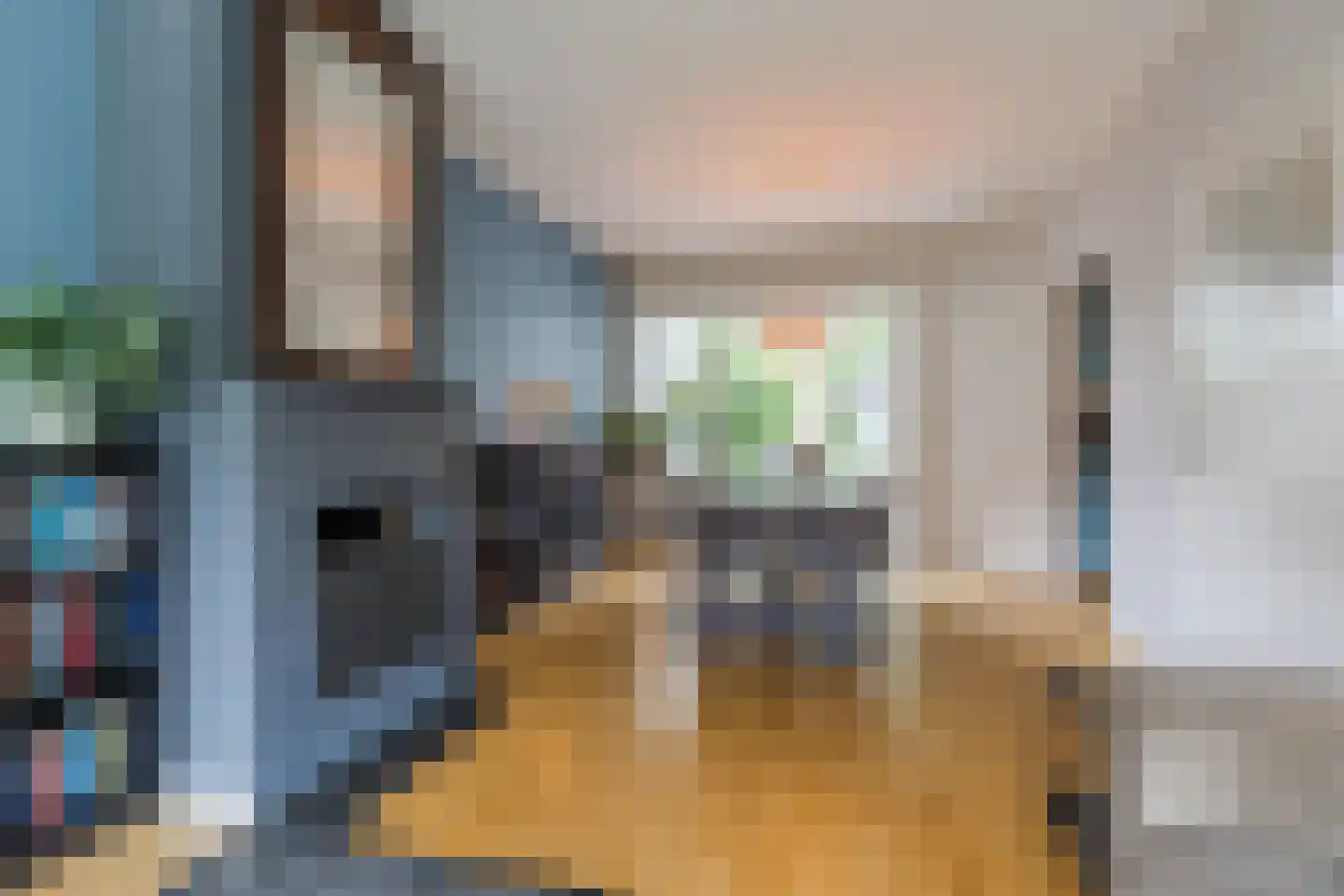 Dorresteinweg 30 Soest thumbnail 6