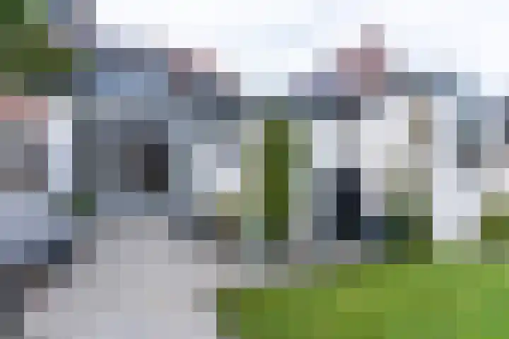 Dorresteinweg 33 Soest thumbnail 16