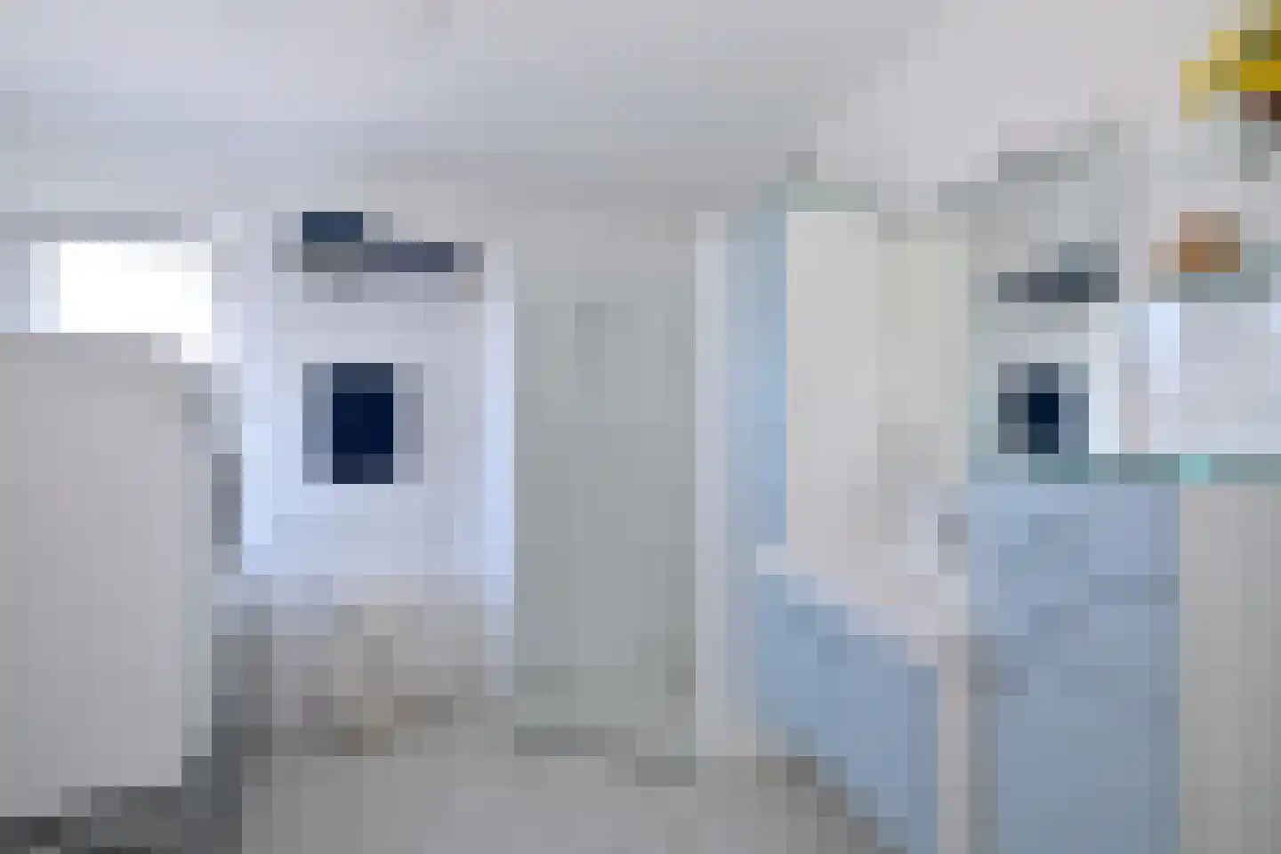 Dorrewold 22 Gorssel thumbnail 25