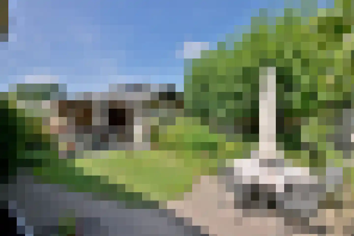 Dorrewold 22 Gorssel thumbnail 29