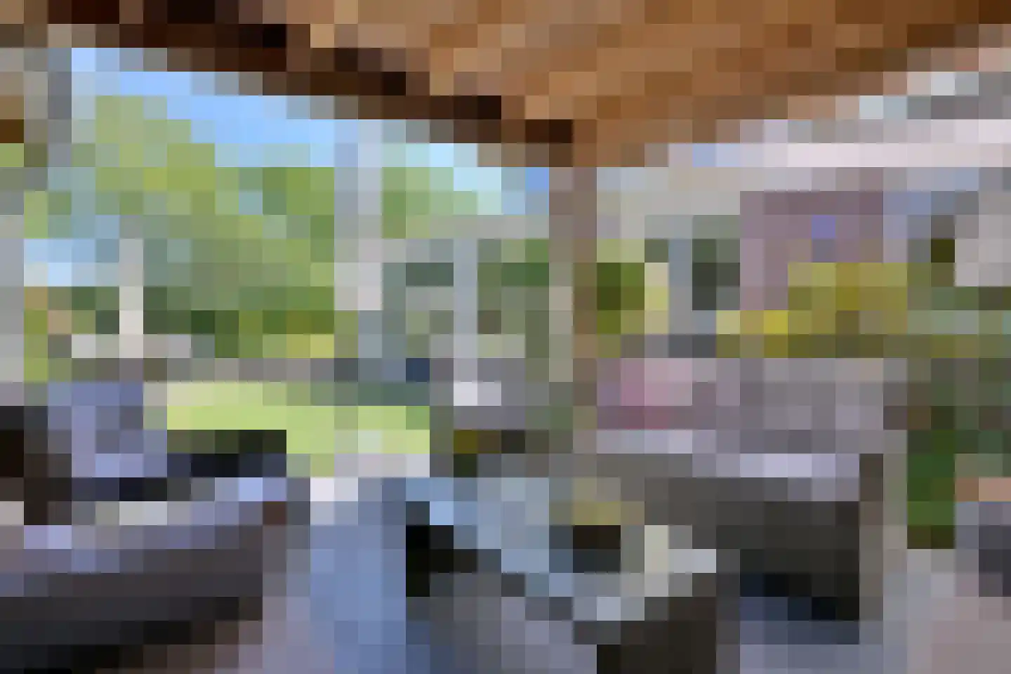 Dorrewold 22 Gorssel thumbnail 31