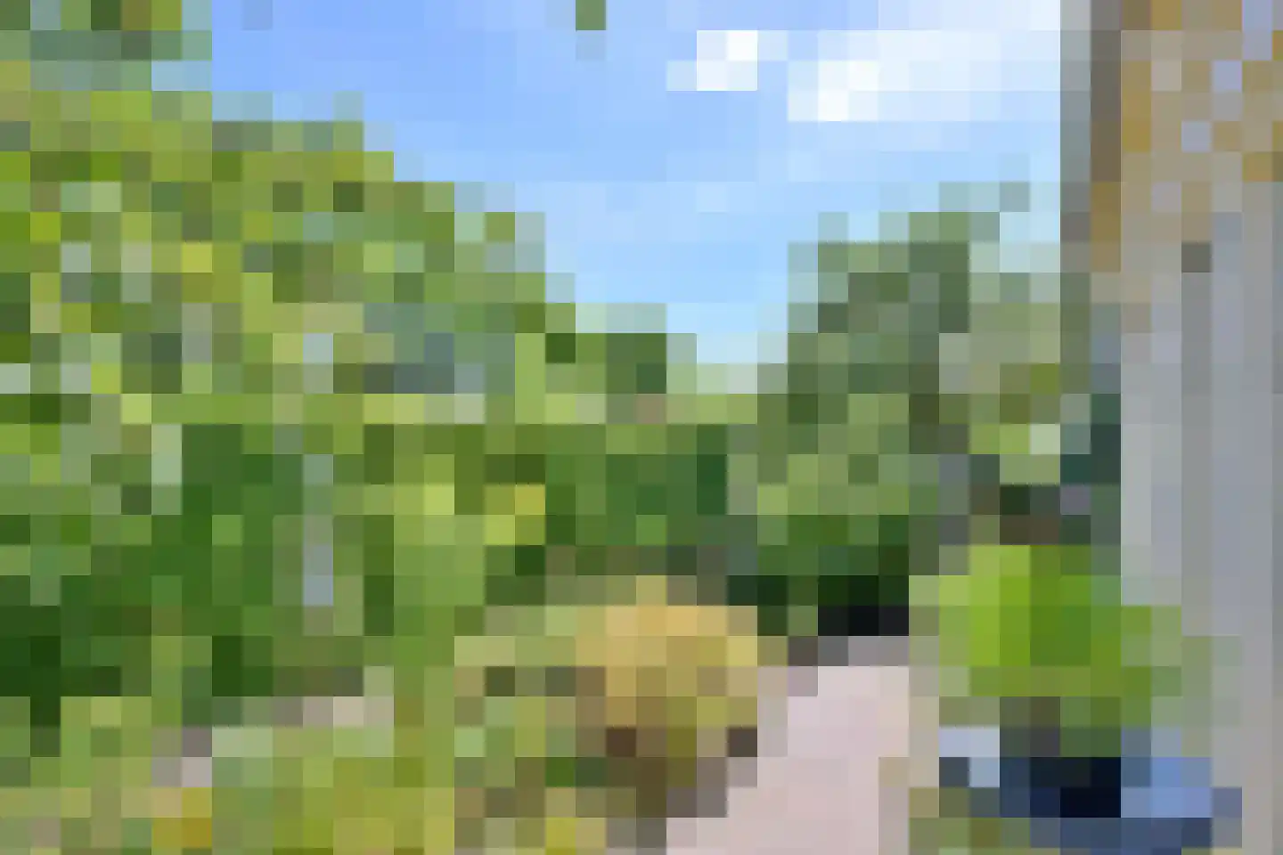 Dorrewold 22 Gorssel thumbnail 33