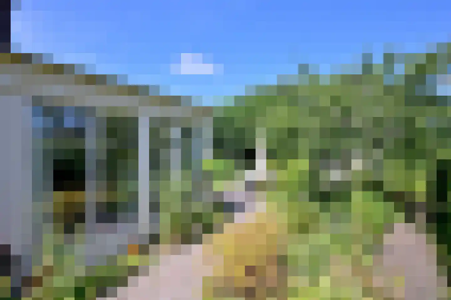 Dorrewold 22 Gorssel thumbnail 35