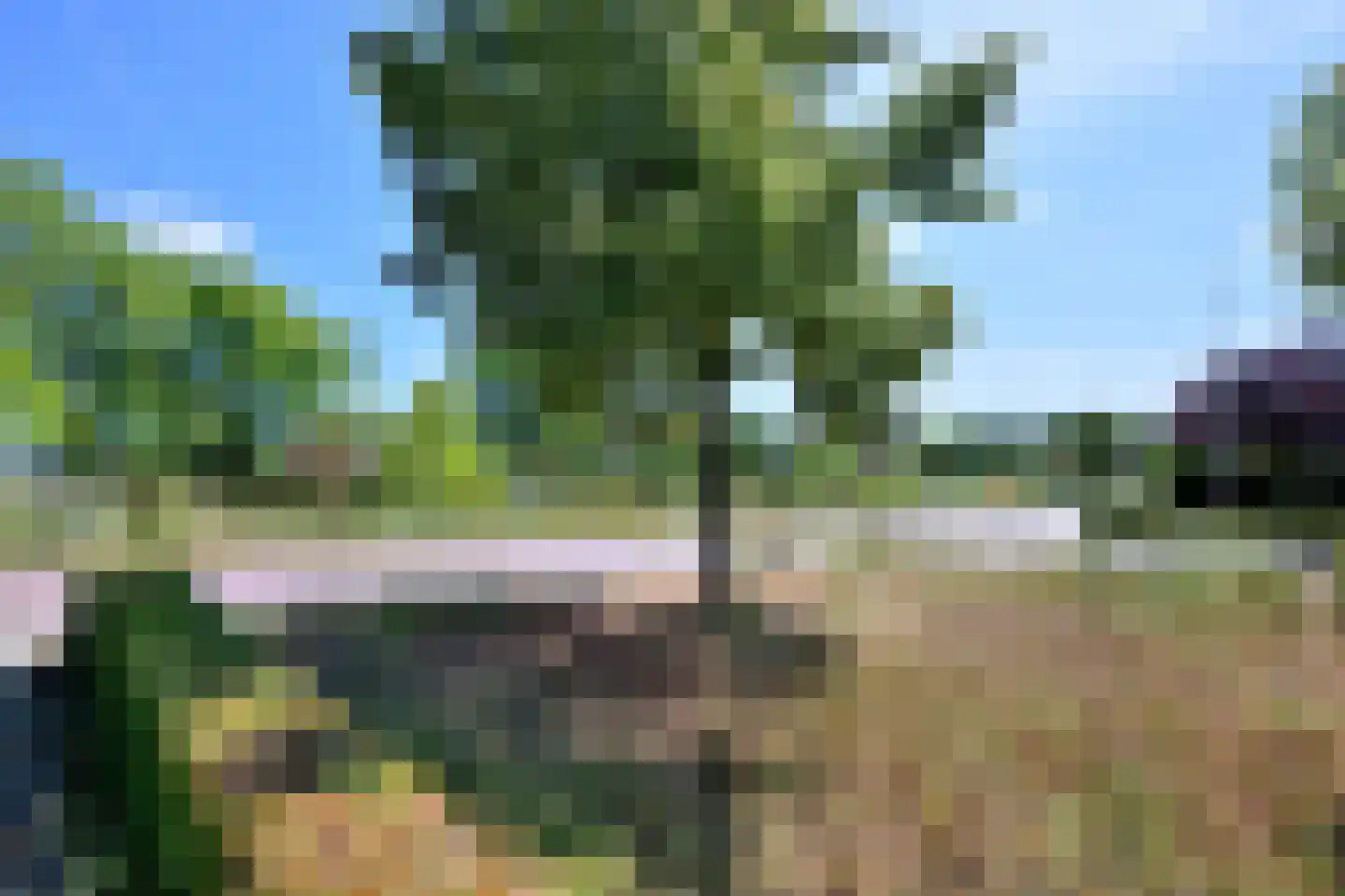 Dorrewold 22 Gorssel thumbnail 37