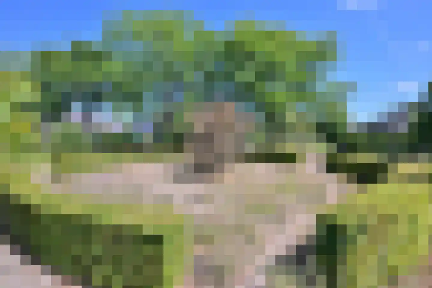 Dorrewold 22 Gorssel thumbnail 4