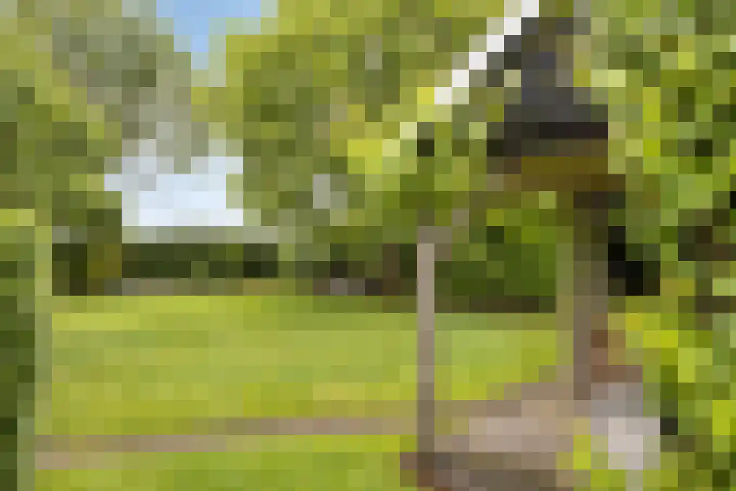 Dorrewold 34 Gorssel thumbnail 11