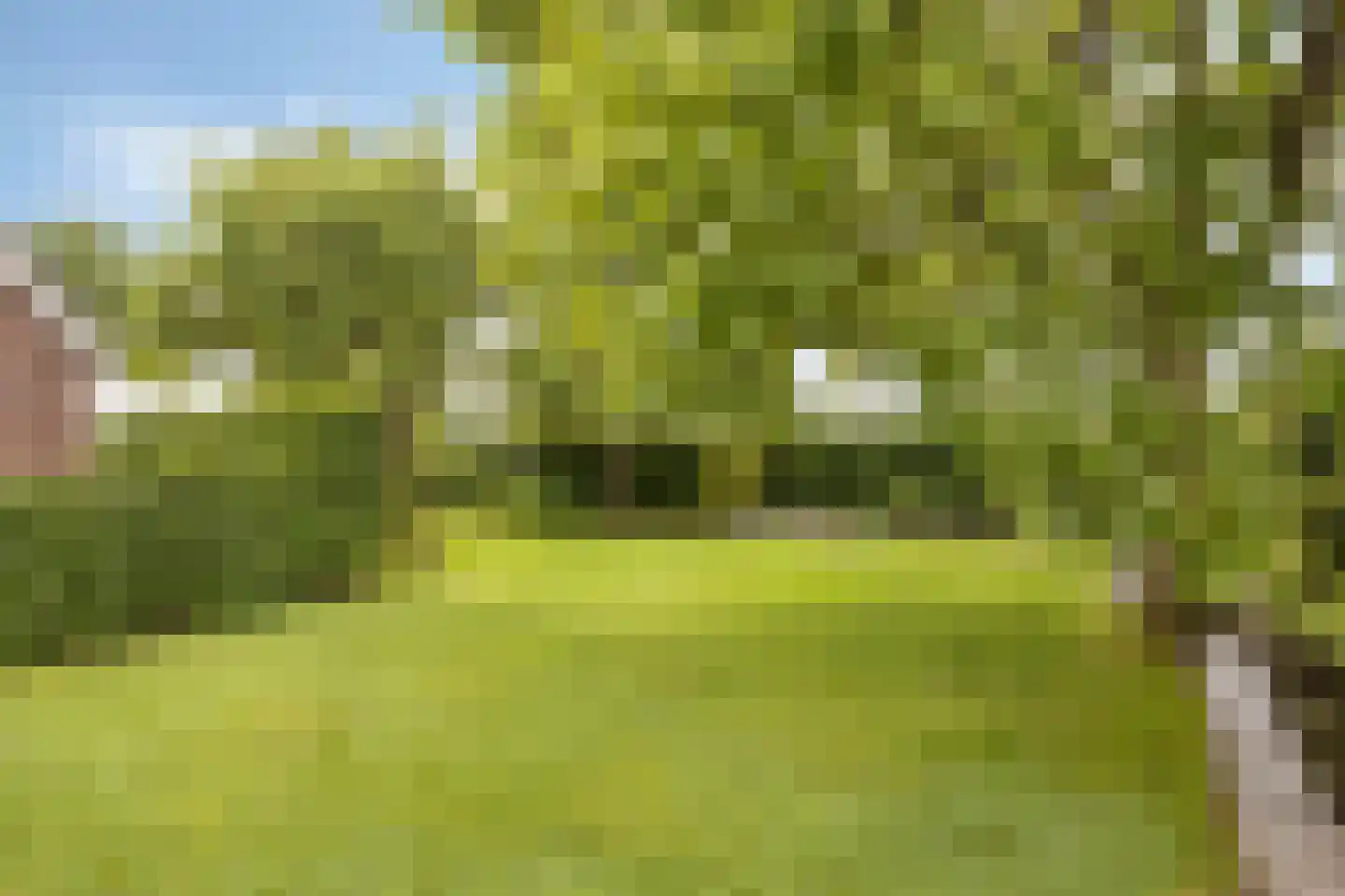 Dorrewold 34 Gorssel thumbnail 12