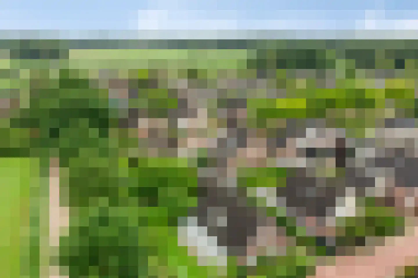 Dorrewold 34 Gorssel thumbnail 13