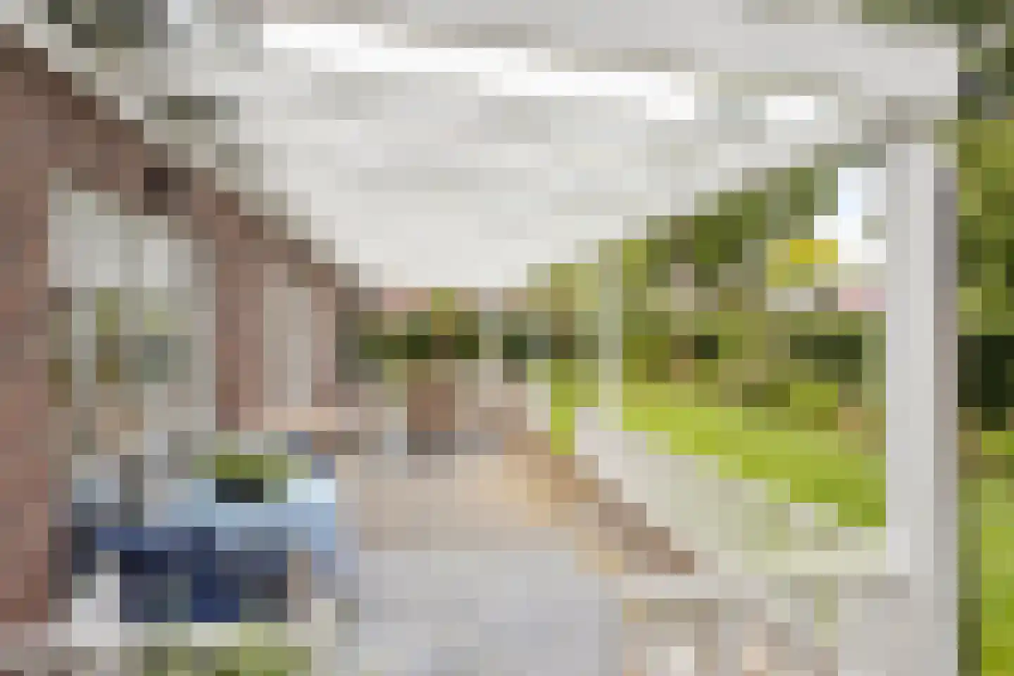 Dorrewold 34 Gorssel thumbnail 15