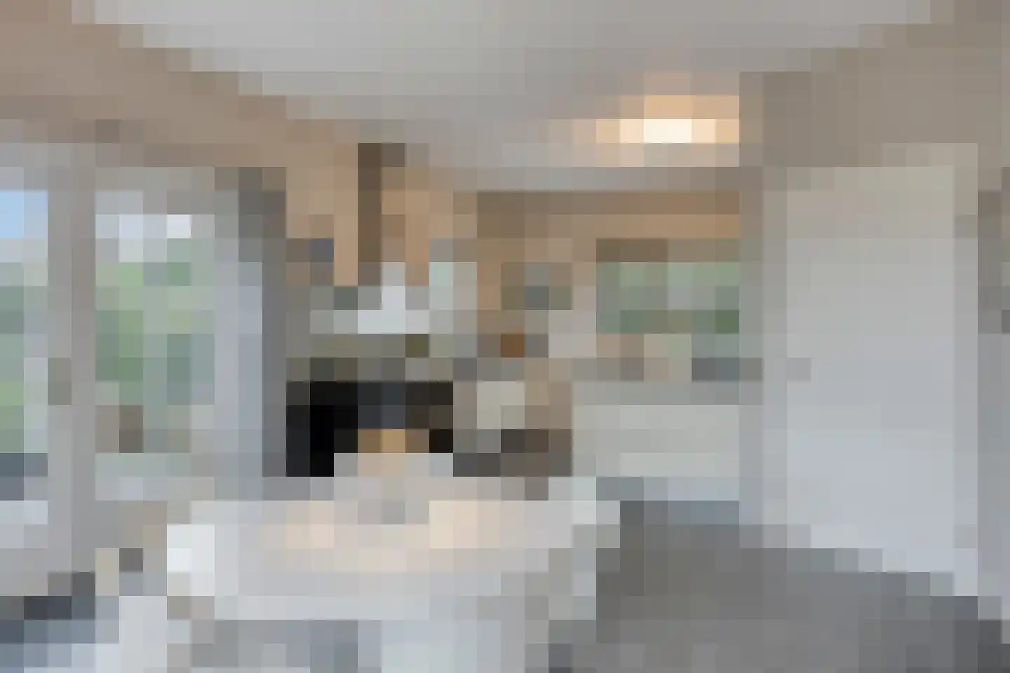 Dorrewold 34 Gorssel thumbnail 31