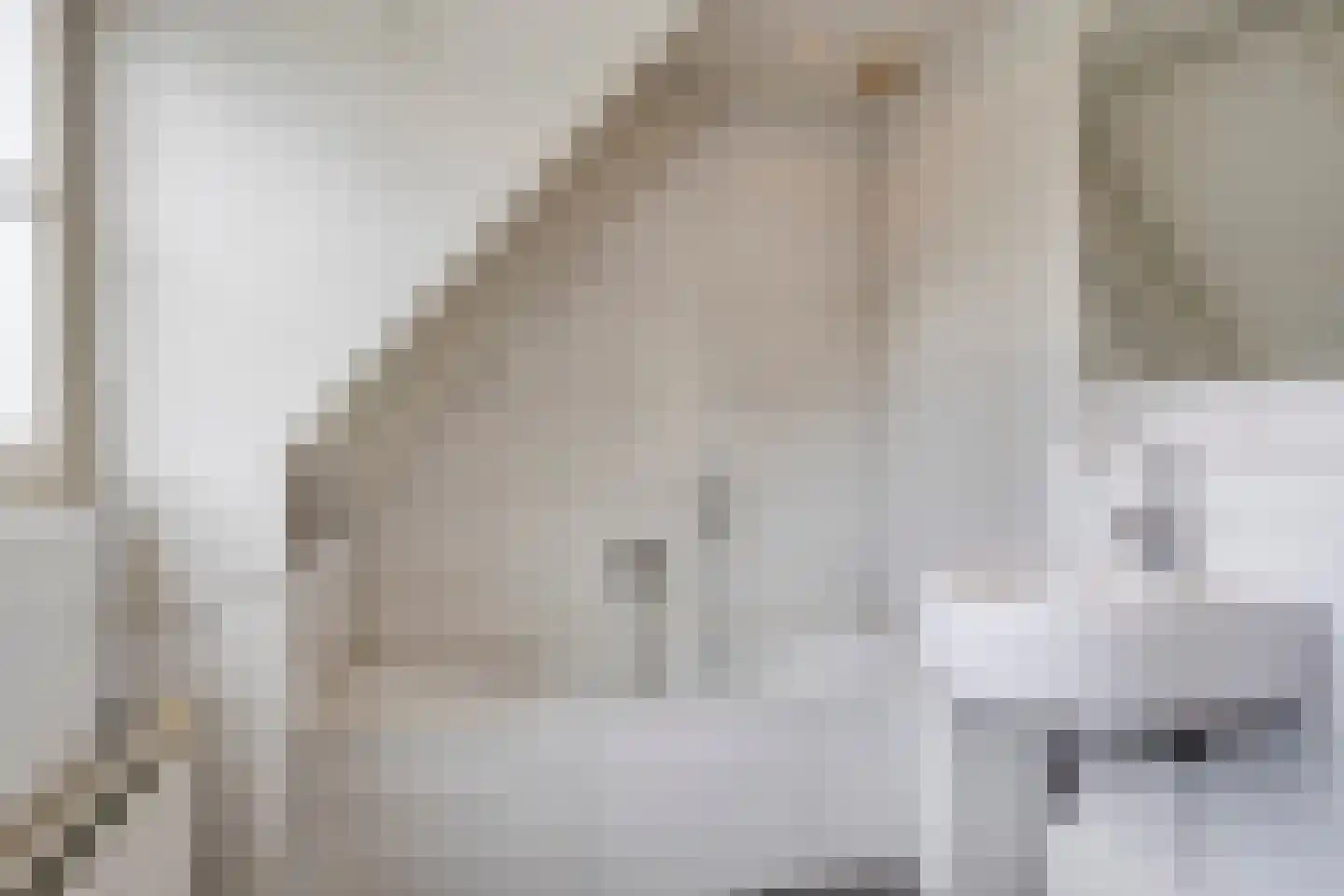 Dorrewold 34 Gorssel thumbnail 47