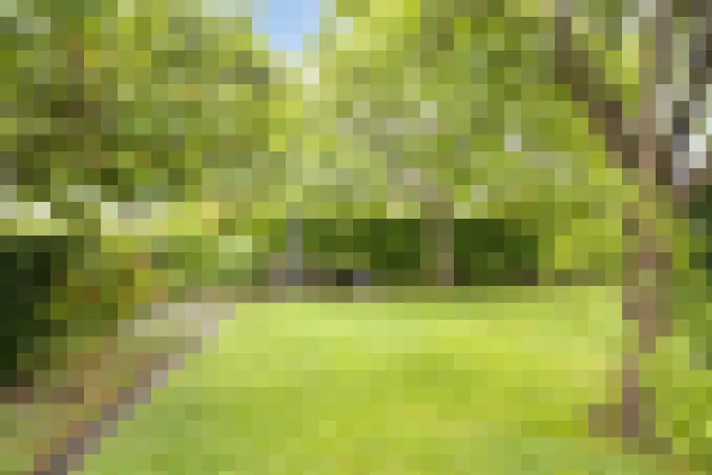 Dorrewold 34 Gorssel thumbnail 50