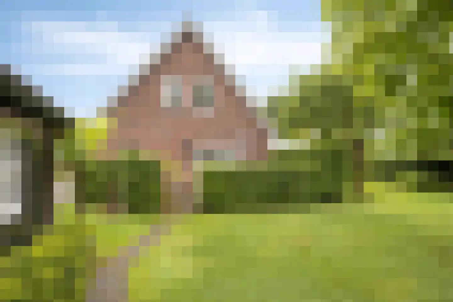 Dorrewold 34 Gorssel thumbnail 52
