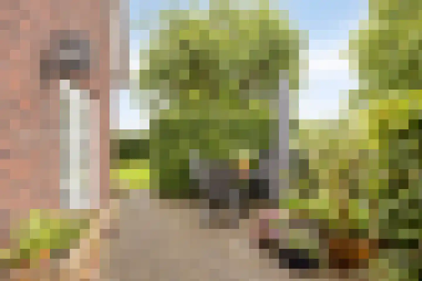 Dorrewold 34 Gorssel thumbnail 53