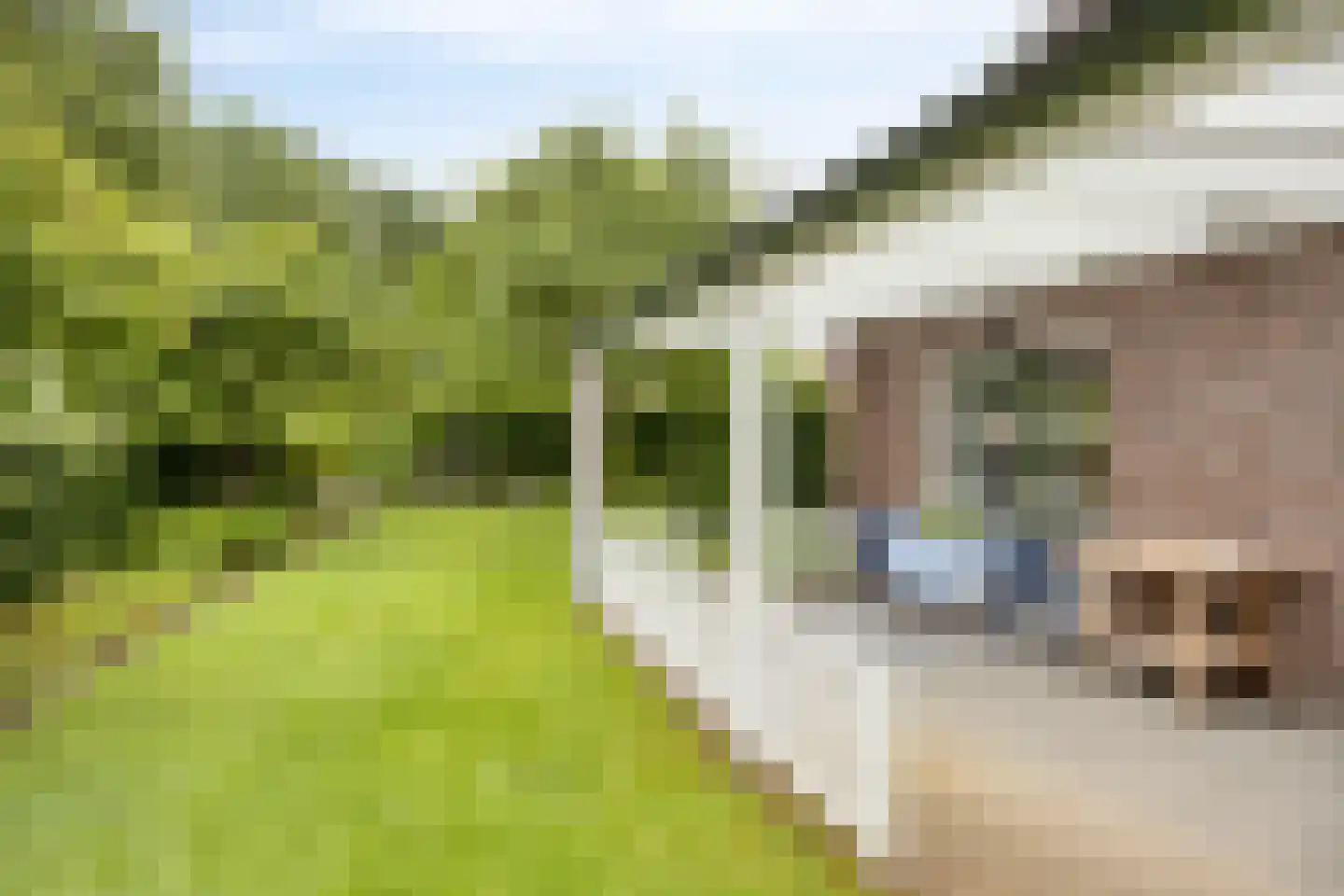 Dorrewold 34 Gorssel thumbnail 56
