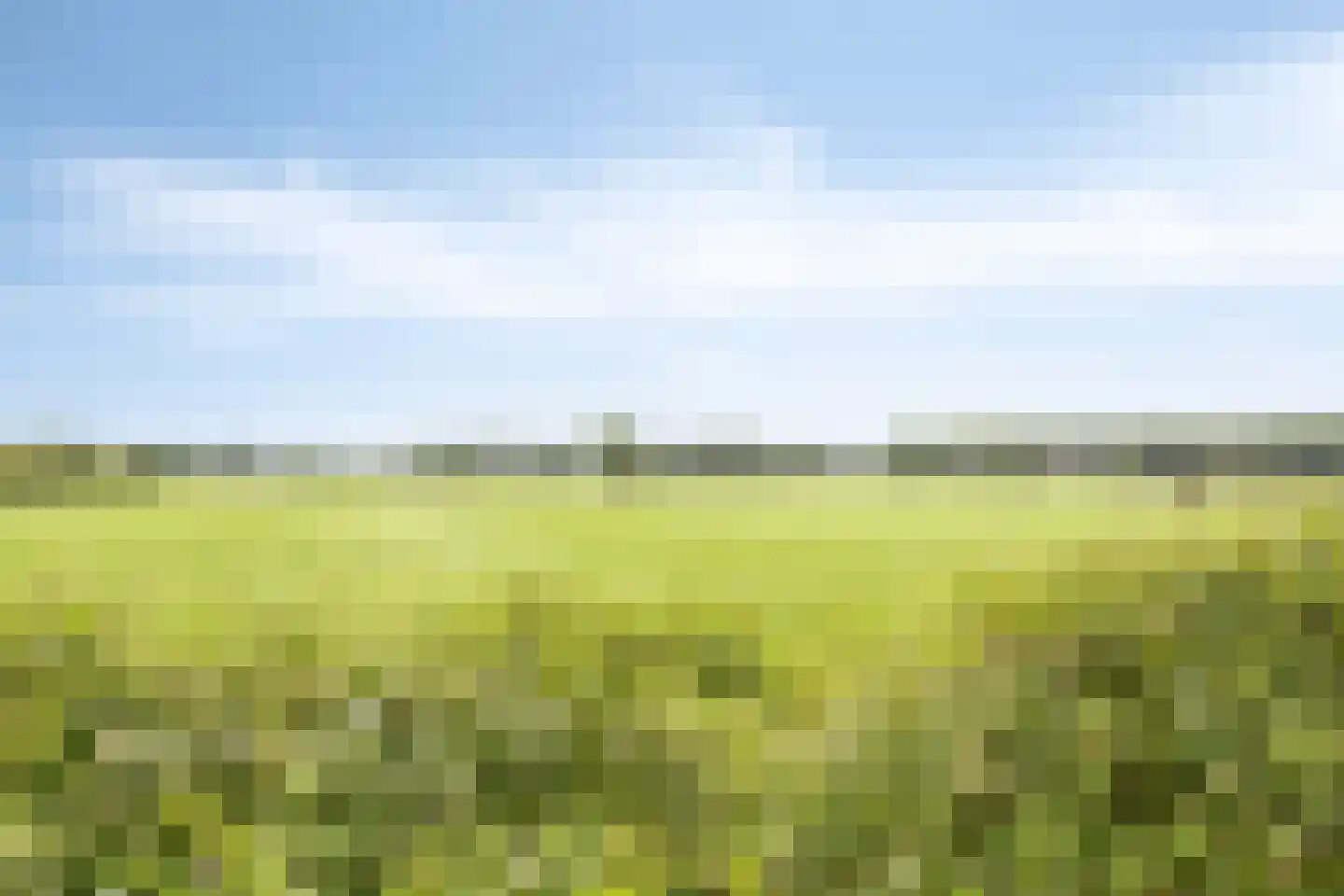 Dorrewold 34 Gorssel thumbnail 57