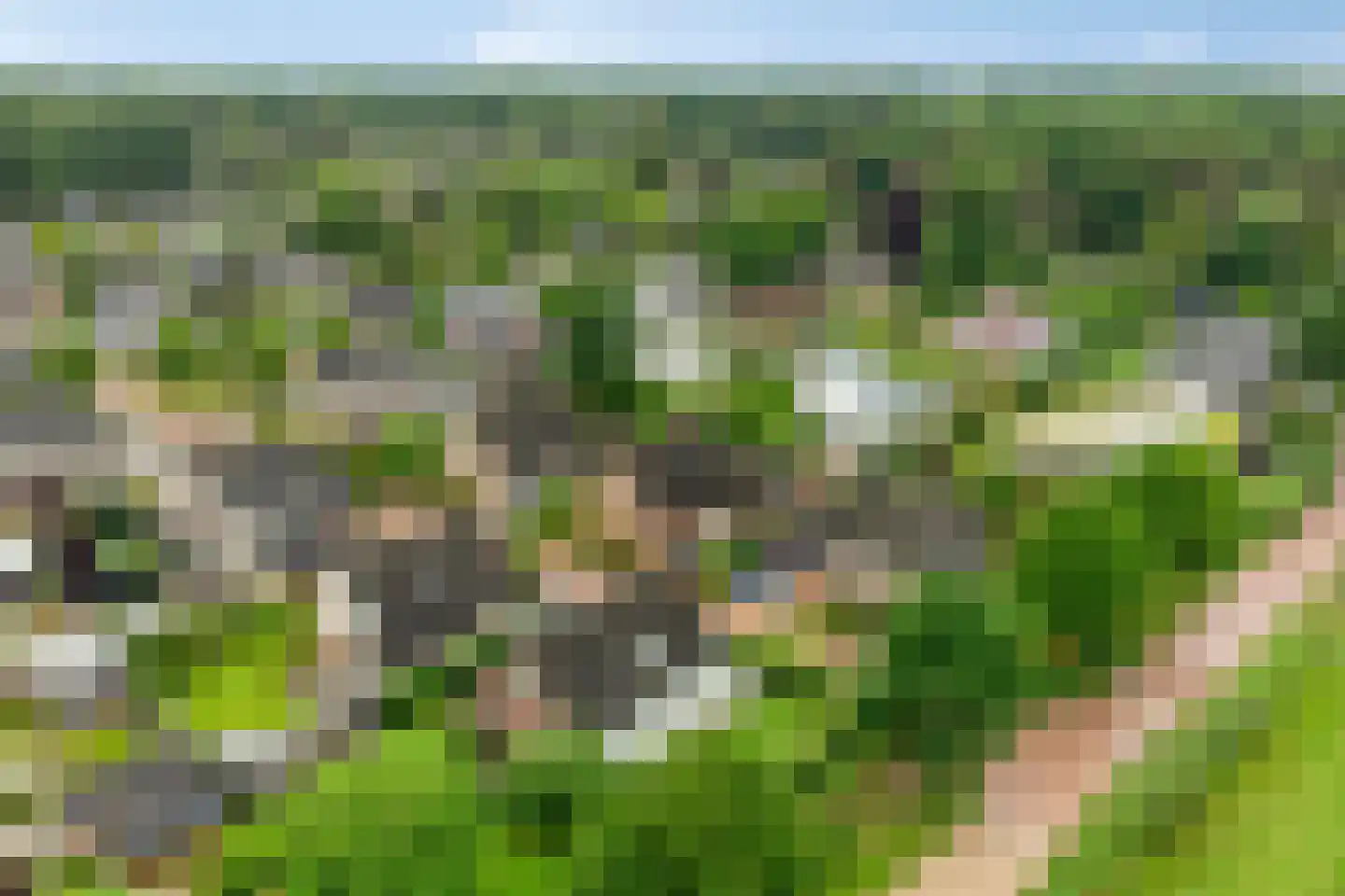 Dorrewold 34 Gorssel thumbnail 58