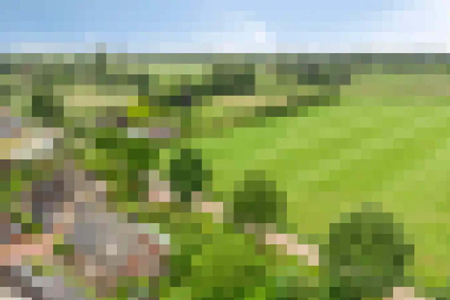 Dorrewold 34 Gorssel thumbnail 59