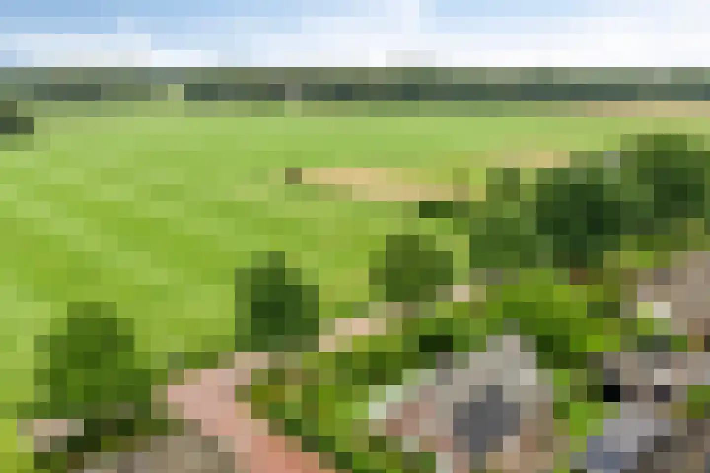 Dorrewold 34 Gorssel thumbnail 7