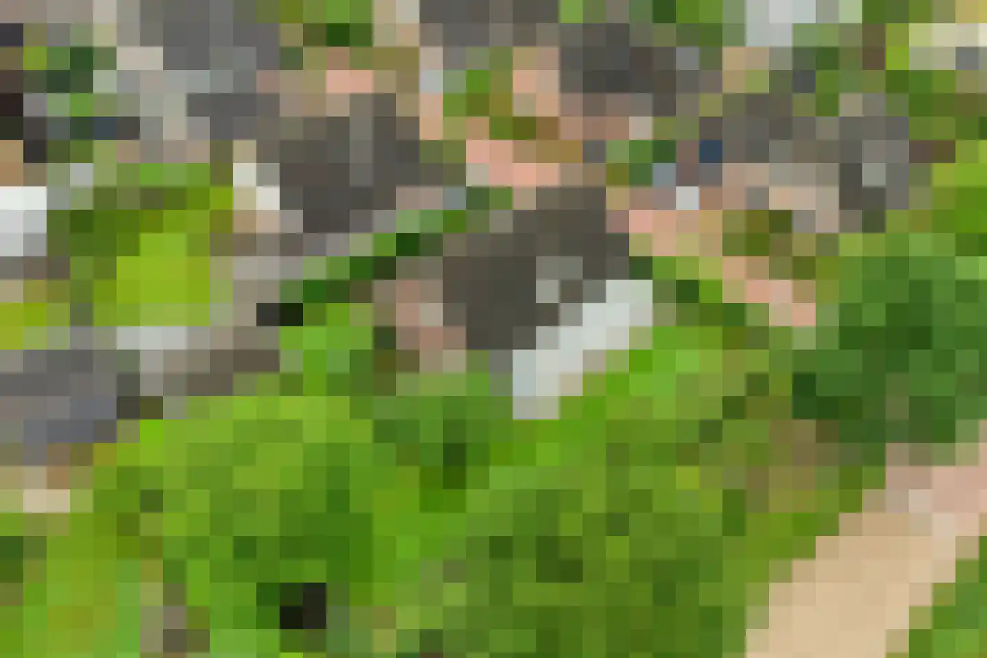 Dorrewold 34 Gorssel thumbnail 8