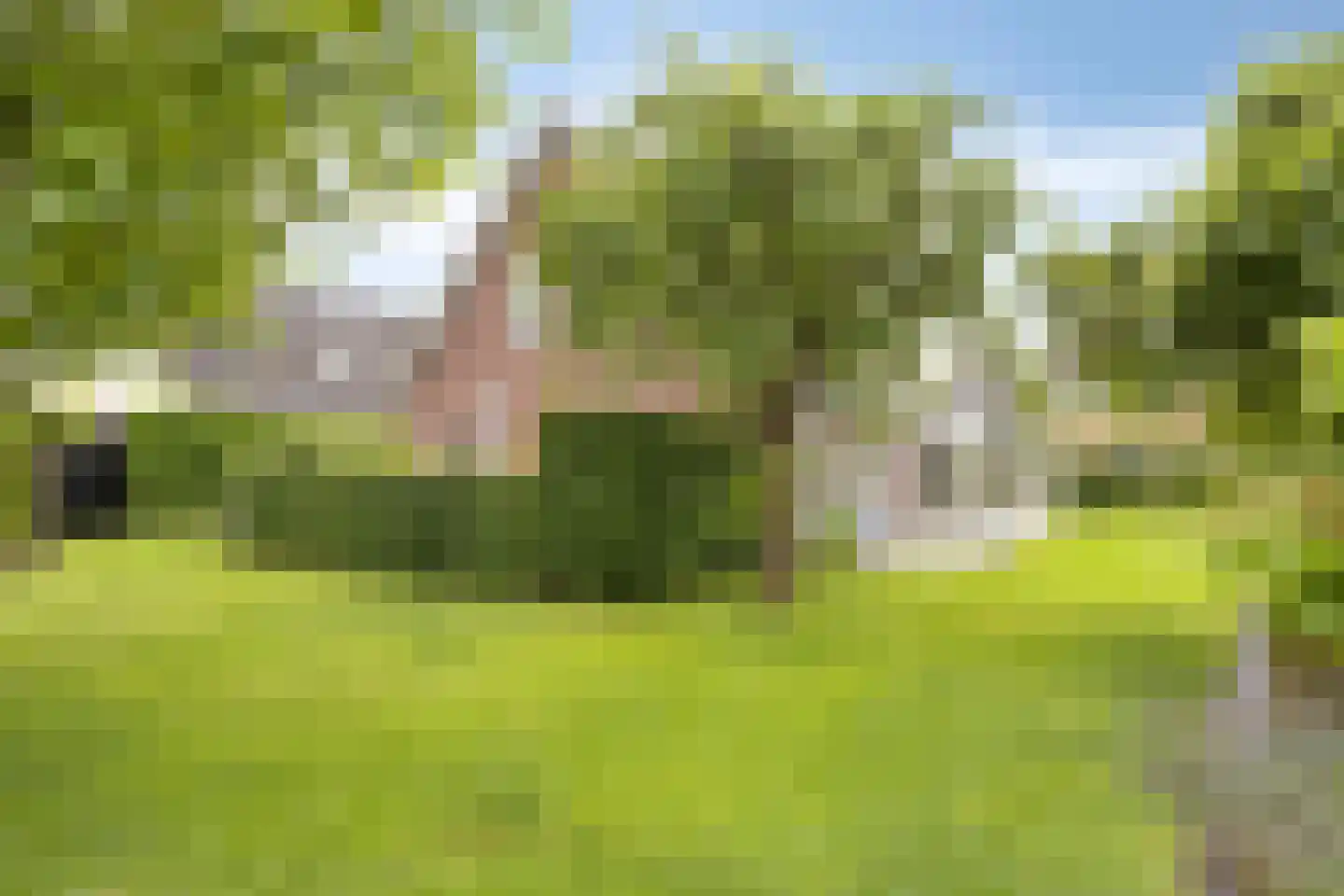 Dorrewold 34 Gorssel thumbnail 9