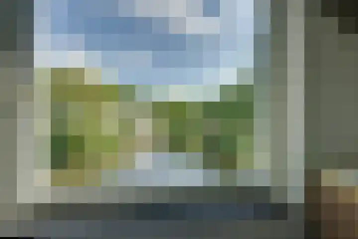 Dors 9 Amsterdam thumbnail 12