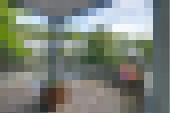 Dors 9 Amsterdam thumbnail 25
