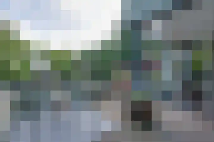 Dors 9 Amsterdam thumbnail 27