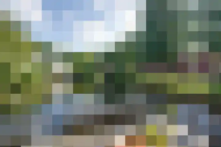 Dors 9 Amsterdam thumbnail 31