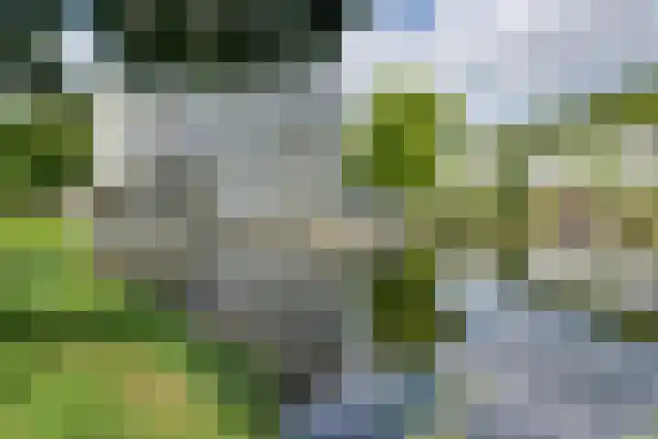 Dors 9 Amsterdam thumbnail 41