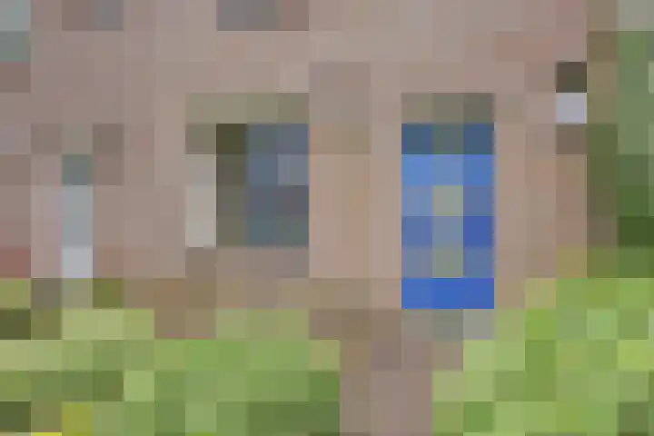 Dorscamp 8 Houten thumbnail 35