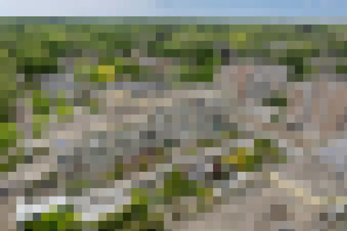 Dorser 18 Leusden thumbnail 25