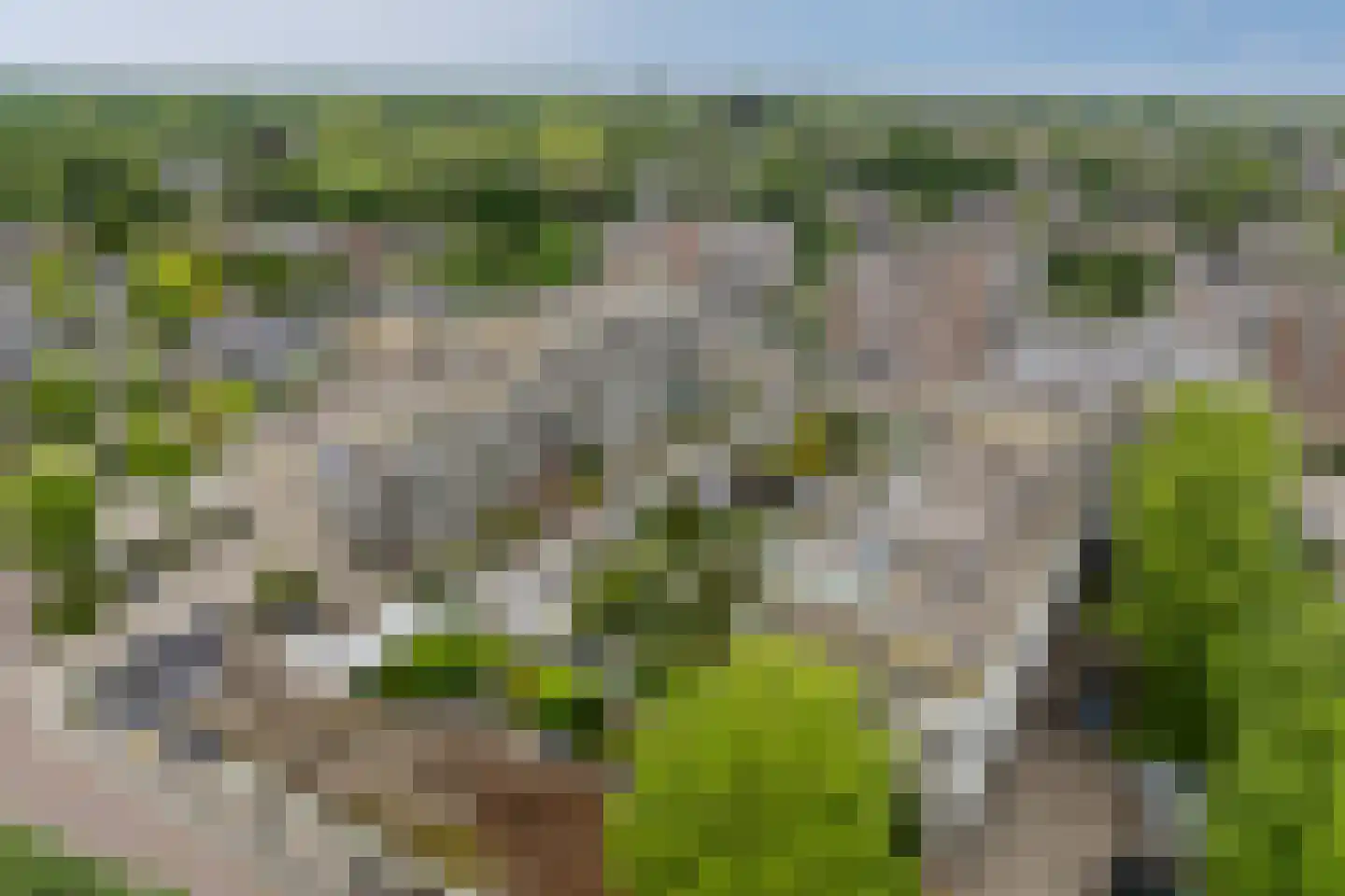 Dorser 18 Leusden thumbnail 26