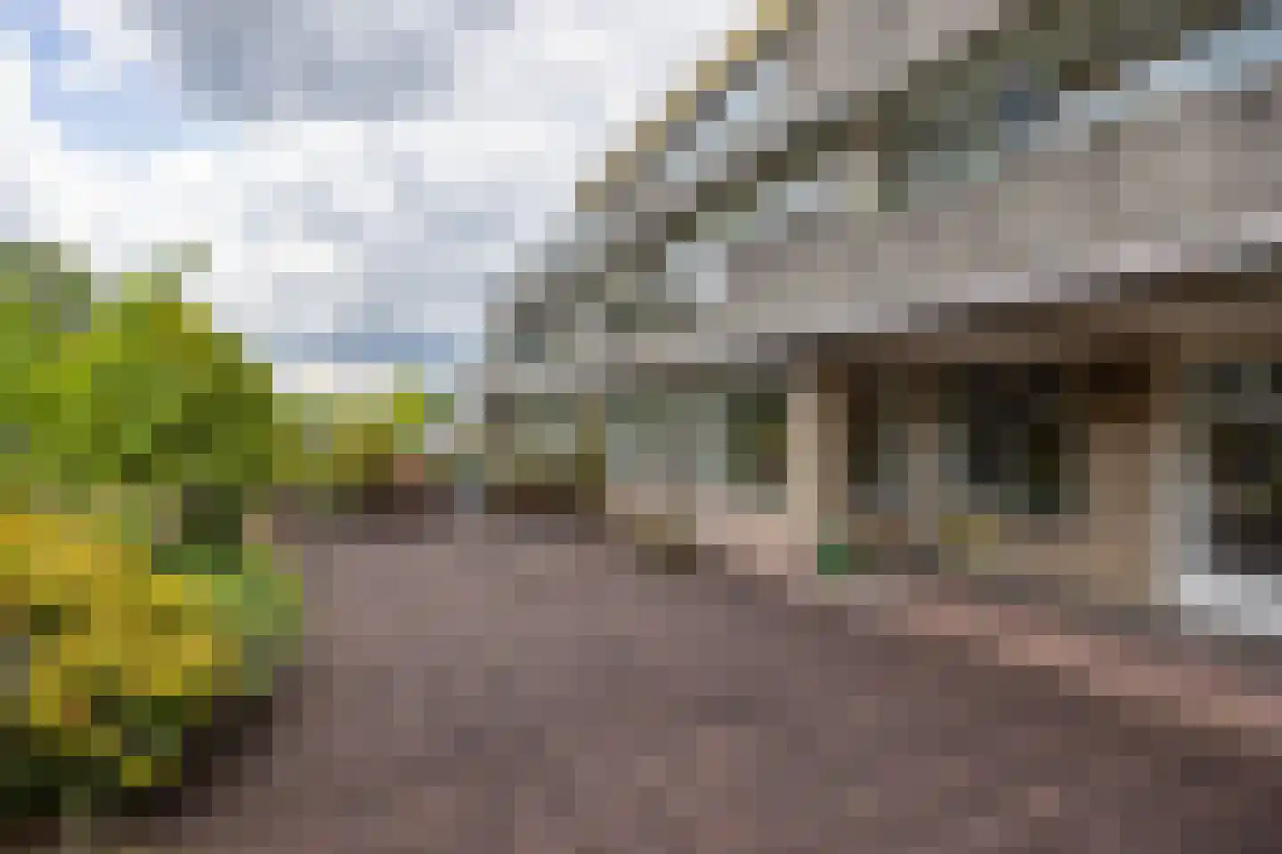 Dorser 18 Leusden thumbnail 4