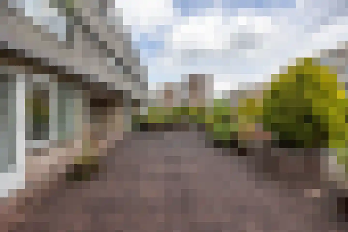 Dorser 18 Leusden thumbnail 6